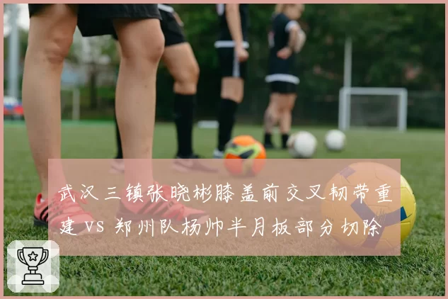 武汉三镇张晓彬膝盖前交叉韧带重建 vs 郑州队杨帅半月板部分切除，后防铁闸康复周期对比