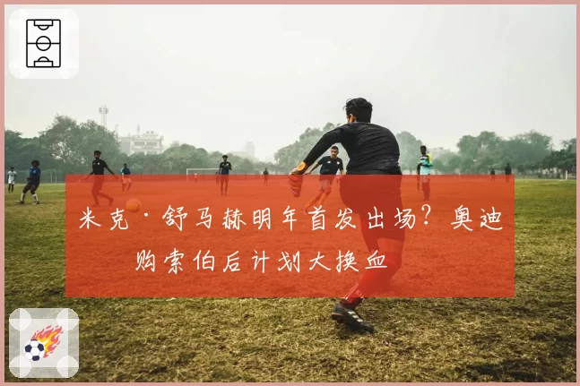 米克·舒马赫明年首发出场?奥迪收购索伯后计划大换血