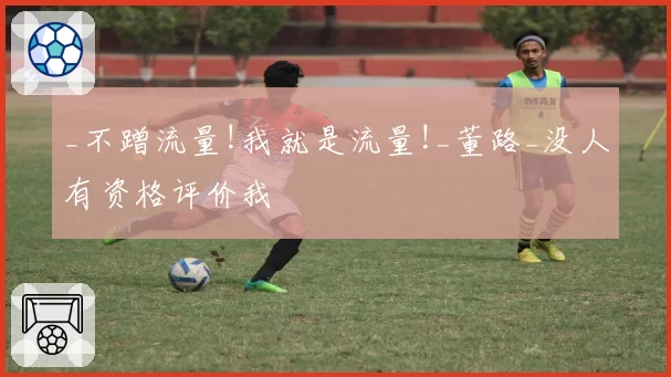 _不蹭流量!我就是流量!_董路_没人有资格评价我